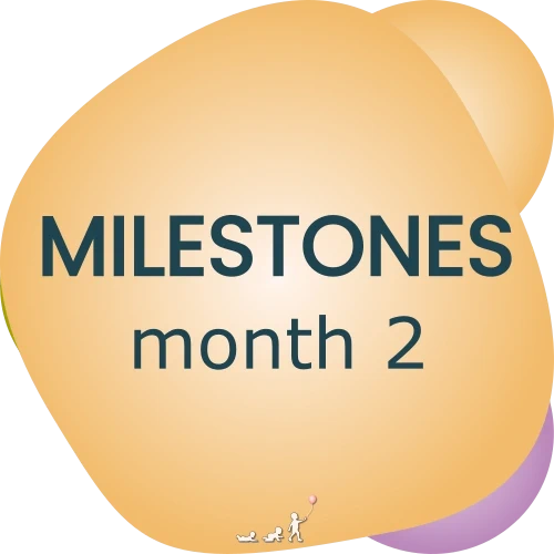 baby milestones - month 2