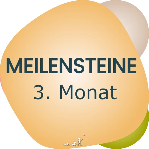 Baby Meilensteine - 3. Monat