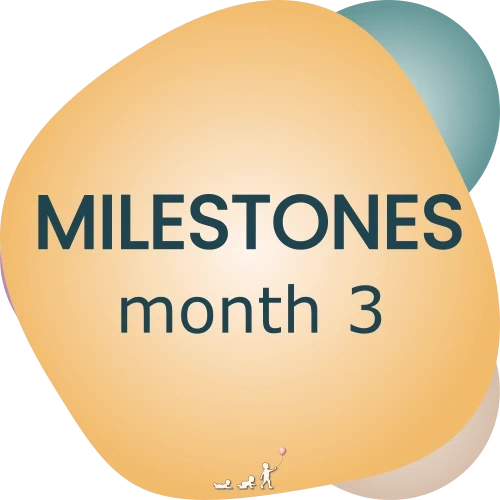 baby milestones - month 3