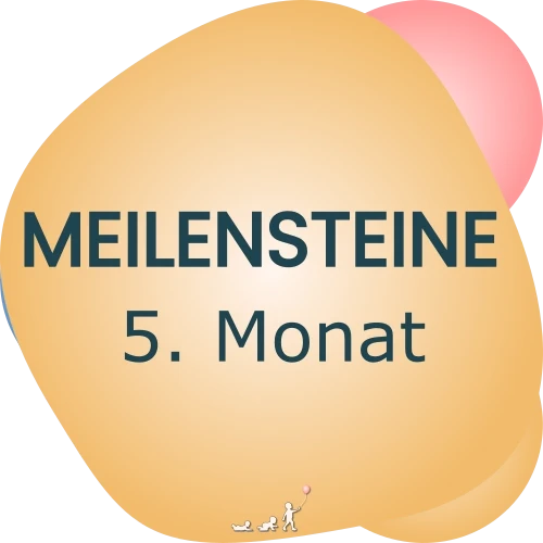 Baby Meilensteine - 5. Monat