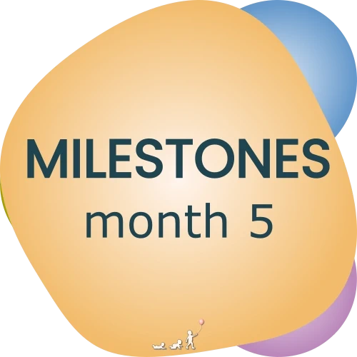 baby milestones - month 5
