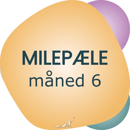 baby milepæle - måned 6
