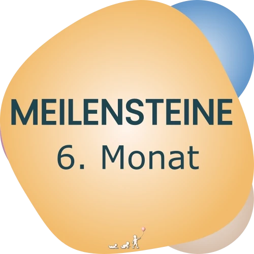 Baby Meilensteine - 6. Monat
