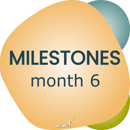 baby milestones - month 6