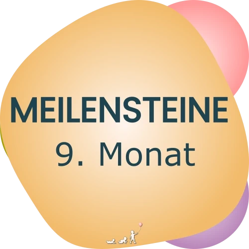 Baby Meilensteine - 9. Monat