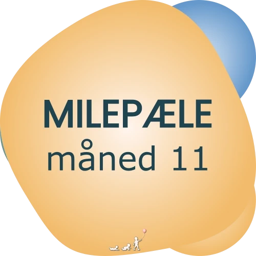 baby milepæle - måned 11