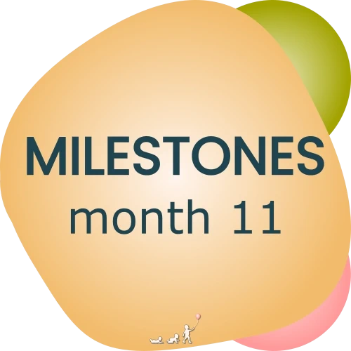 baby milestones - month 11