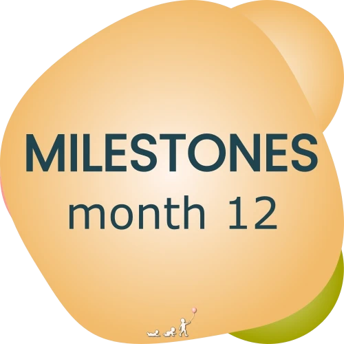 baby milestones - month 12