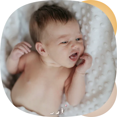 Lieblingsseite und Schiefkopf FAQ